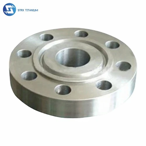 Titanium Ring Joint Flanges suppliers